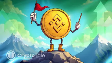 BNB Surges to Record $1,113 as Demand and Activity Explode