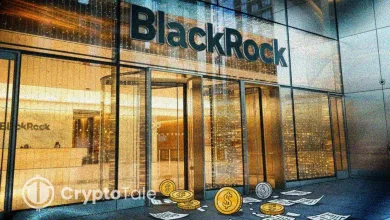 BlackRock Targets Stablecoin Issuers With New Treasury Fund