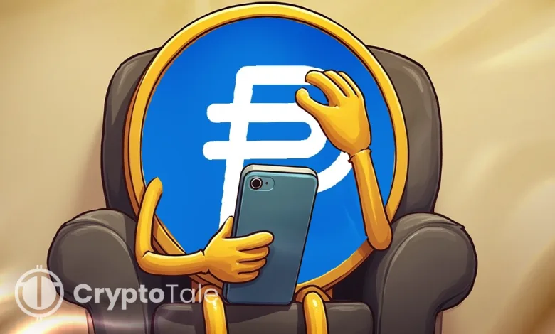 Crypto Trends PYUSD Error and 2025 Q3 Market Leaders