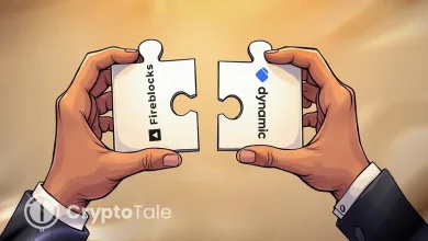 Fireblocks Buys Dynamic Labs to Boost Onchain Finance Tools