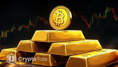 Gold Declines While Bitcoin Holds $113K and Signals Strength