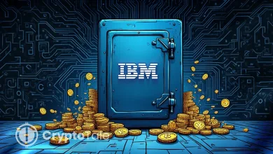 IBM Partners with Dfns to Build Secure Digital Asset Haven