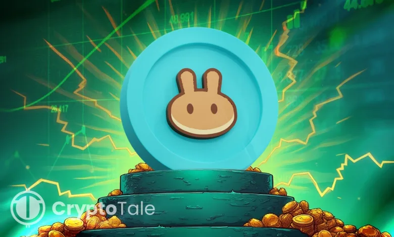 PancakeSwap Surges 24% in a Day, Can Bulls Hold Momentum