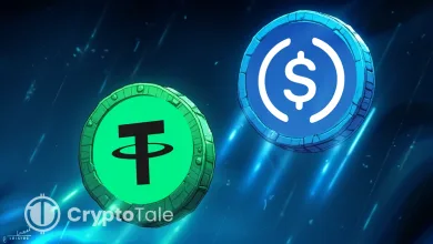 Stablecoin Market Soars to $311B as USDT and USDC Lead