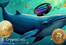 Whale With 100% Win-Rate Enters Market With Bold $275M Long