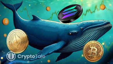 Whale With 100% Win-Rate Enters Market With Bold $275M Long