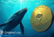Whales Move 230K ETH as Shorts Dominate, Is a Rebound Coming
