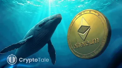 Whales Move 230K ETH as Shorts Dominate, Is a Rebound Coming
