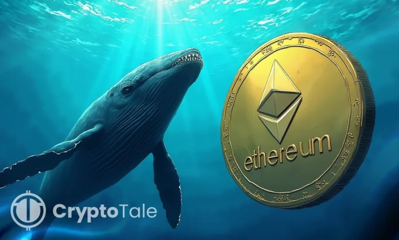 Whales Move 230K ETH as Shorts Dominate, Is a Rebound Coming