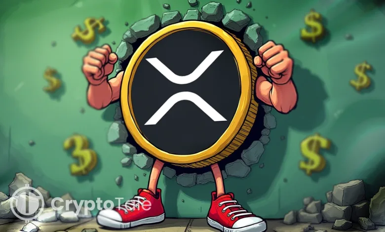 XRP Eyes $3.15 as Whale Activity Grows and Traders Watch ETF Moves