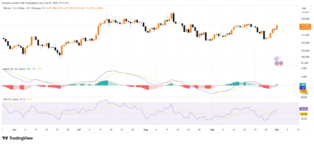 BTC/USD 1D Chart - TradingView