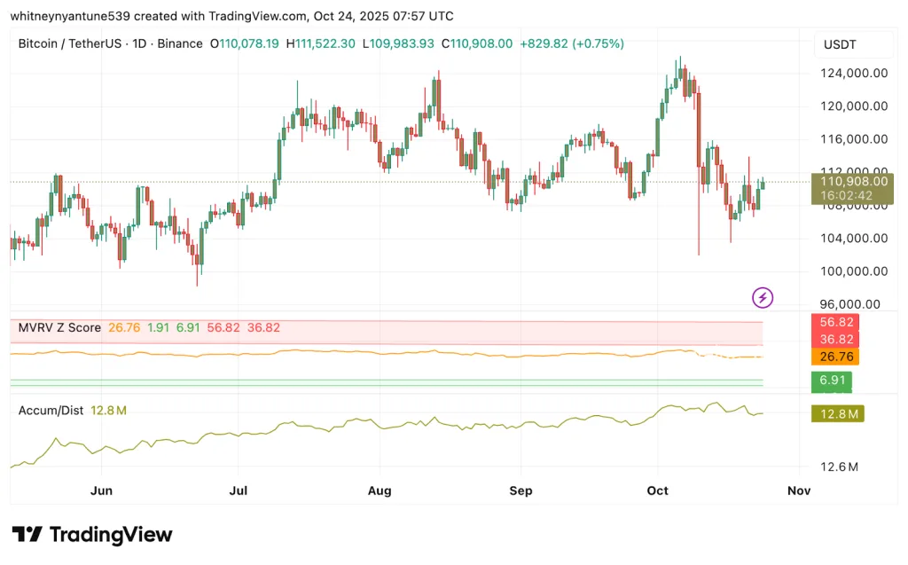 BTC/USD 1D - TradingView Chart
