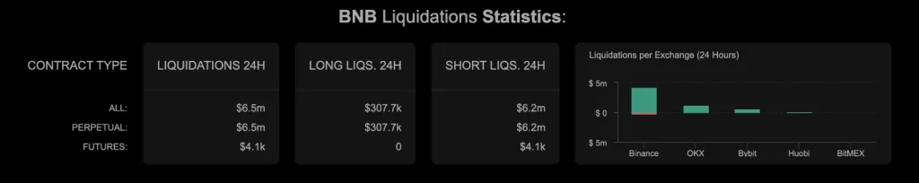 BNB Liquidations Statistics