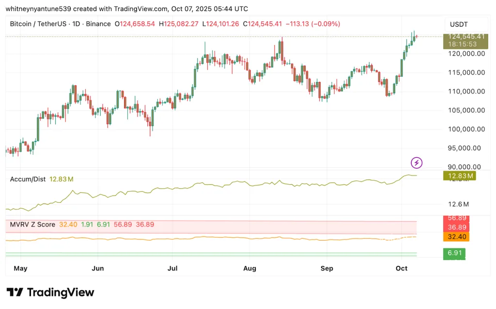 BTC TradingView Chart