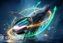 “100% Win-Rate Whale” Faces $22.7M Loss After SOL Sell-Off