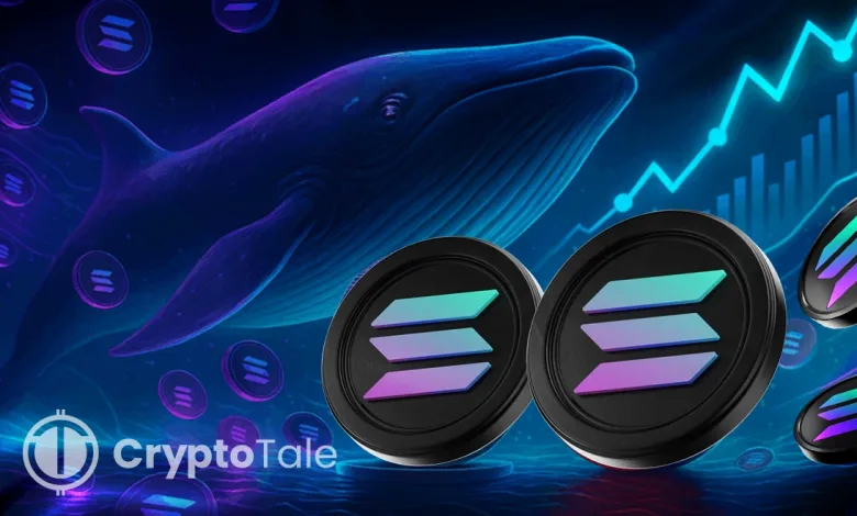 $425M in Solana Moves — Whale Shuffle or Exchange Play