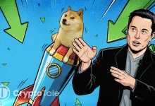 Elon Musk’s “It’s Time” Tweet Ignites Dogecoin Once Again