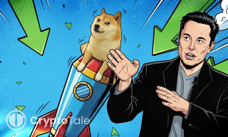 Elon Musk’s “It’s Time” Tweet Ignites Dogecoin Once Again