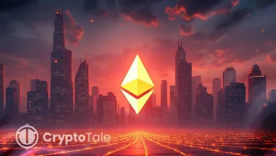 Ethereum Hits Record 24,192 TPS as Lighter Drives Growth