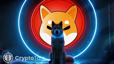 SHIB Bounces Back From a 10% Fall Will This Recovery Last