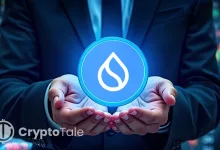 SUI Holds Key Support at $2 What Comes Next, Surge or Dip