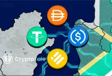 South Africa Warns Stablecoins Threaten Key FX Controls