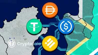 South Africa Warns Stablecoins Threaten Key FX Controls