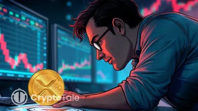 Stablecoins Rise While XRP’s Developer Base Weakens