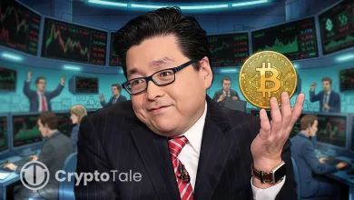 Tom Lee Sees Bitcoin Hitting $150K Despite Recent Liquidations
