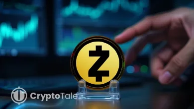 Zcash Holds Support After 40% Fall What’s Next for ZEC