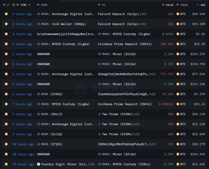 Arkham Intelligence Data