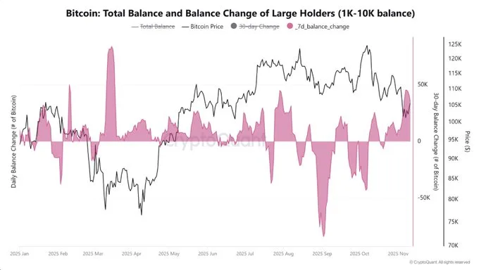 Bitcoin: Total Balance and Balance Change of Large Holders - CryptoQuant