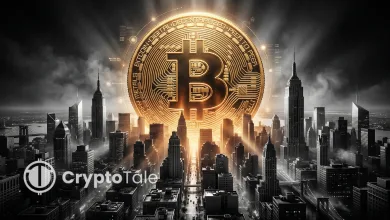 Birth of a Parallel Financial System that Defied Institutions