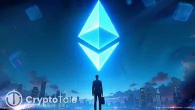 Ethereum Treasury Buying Collapses as Liquidity Stress Rises