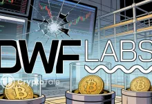 DWF Labs Says Crypto Shifts to Balance Sheets After Reset