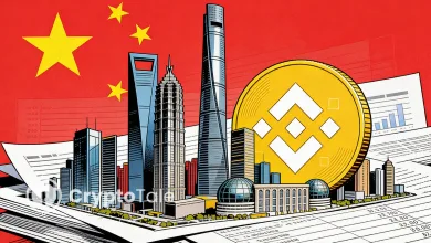 China Properties Investment Adds BNB to Corporate Reserves