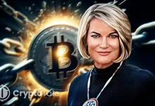 Lummis Says Crypto Bill Will Split Securities and Commodities