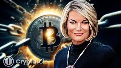 Lummis Says Crypto Bill Will Split Securities and Commodities