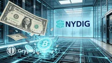 NYDIG Flags Long Path for Tokenized Stocks in Crypto