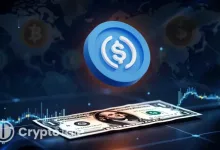 Circle Advances UAE Expansion With ADGM License, New MEA Head