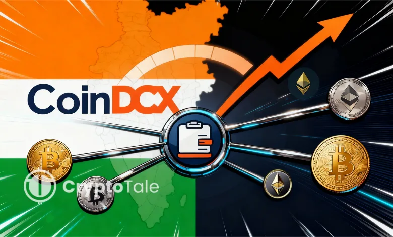 CoinDCX Users Build Larger Multi-Token Portfolios in 2025