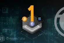 How Layer 1 Blockchains Split Roles After a Weak 2025