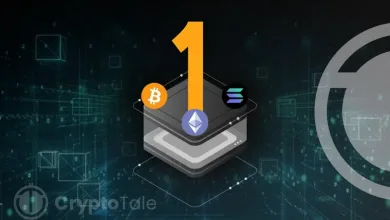 How Layer 1 Blockchains Split Roles After a Weak 2025