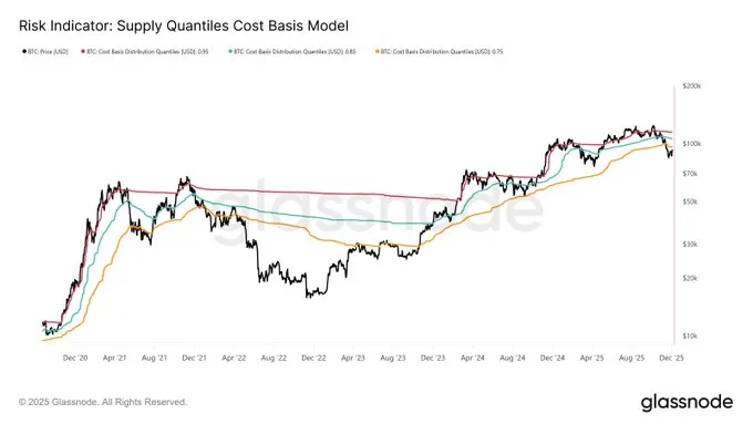 Risk Indicator: Supply Quantiles Cost Basis Model