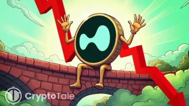 HYPE Slides 8% as Price Tests Key Support