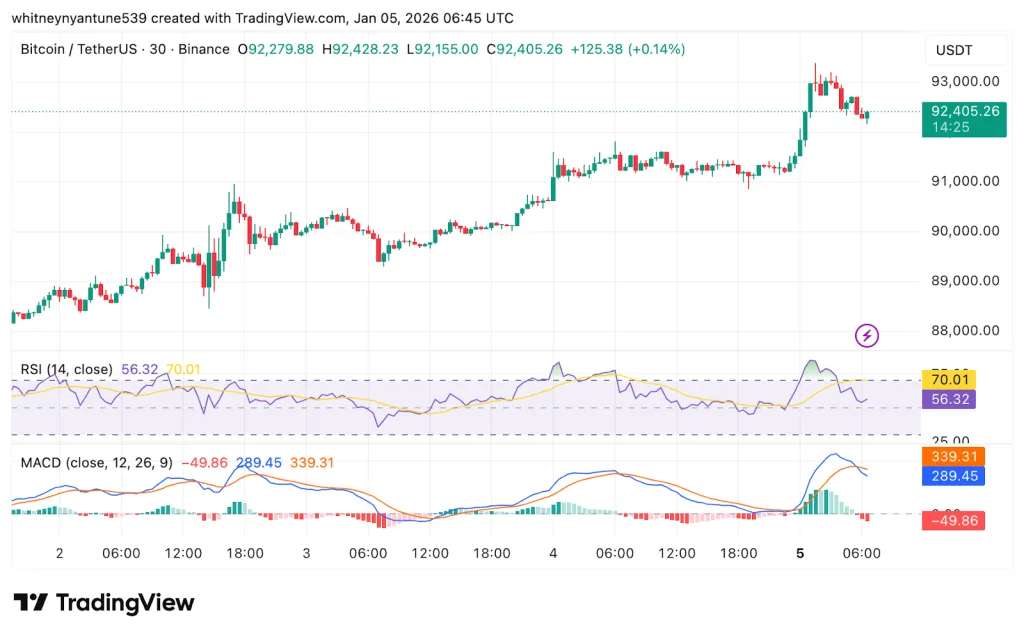 BTC/USDT TradingView Chart