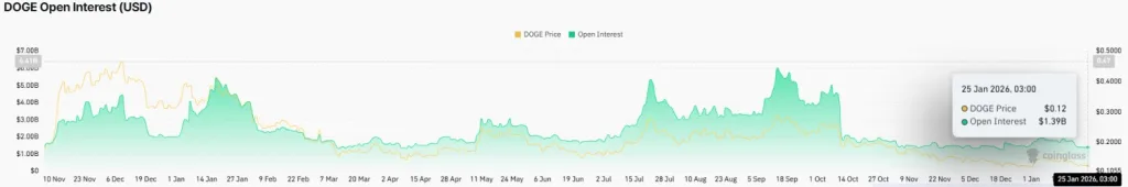 DOGE Open Interest
