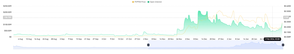 PIPPIN Open Interest - CoinGlass