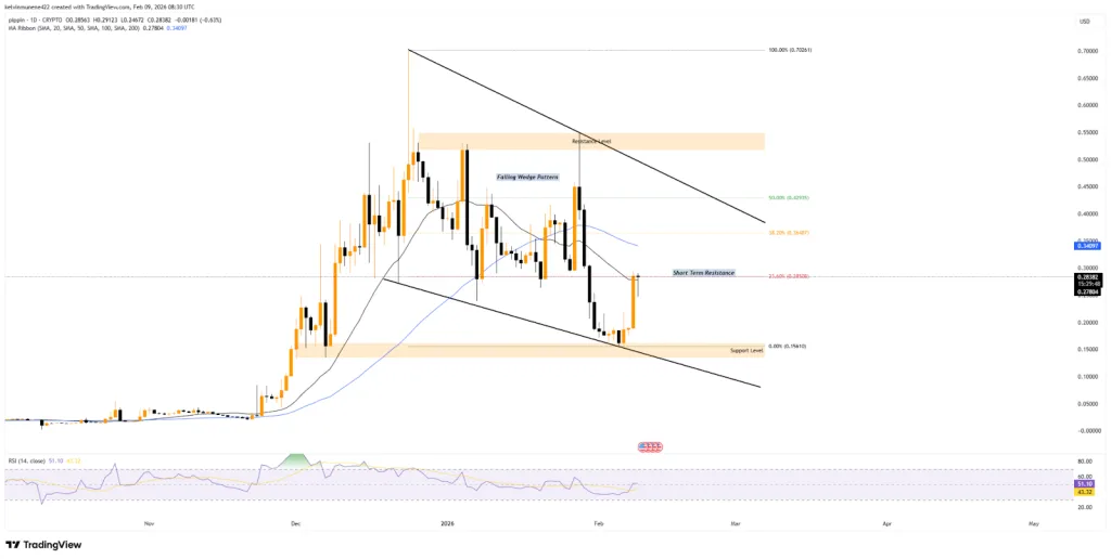 PIPPIN - 1D - TradingView Chart