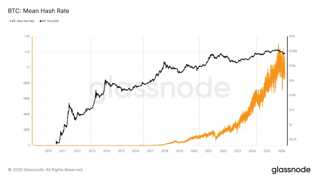 Bitcoin Hash Rate Rises as Miner Profit Pressure Deepens